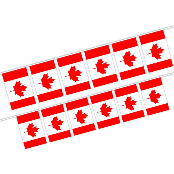 Free shipping  Canada string flag 14cmx21cm Great Canadian Flag banner flag  Canada national polyster Canada flag CAN Canada